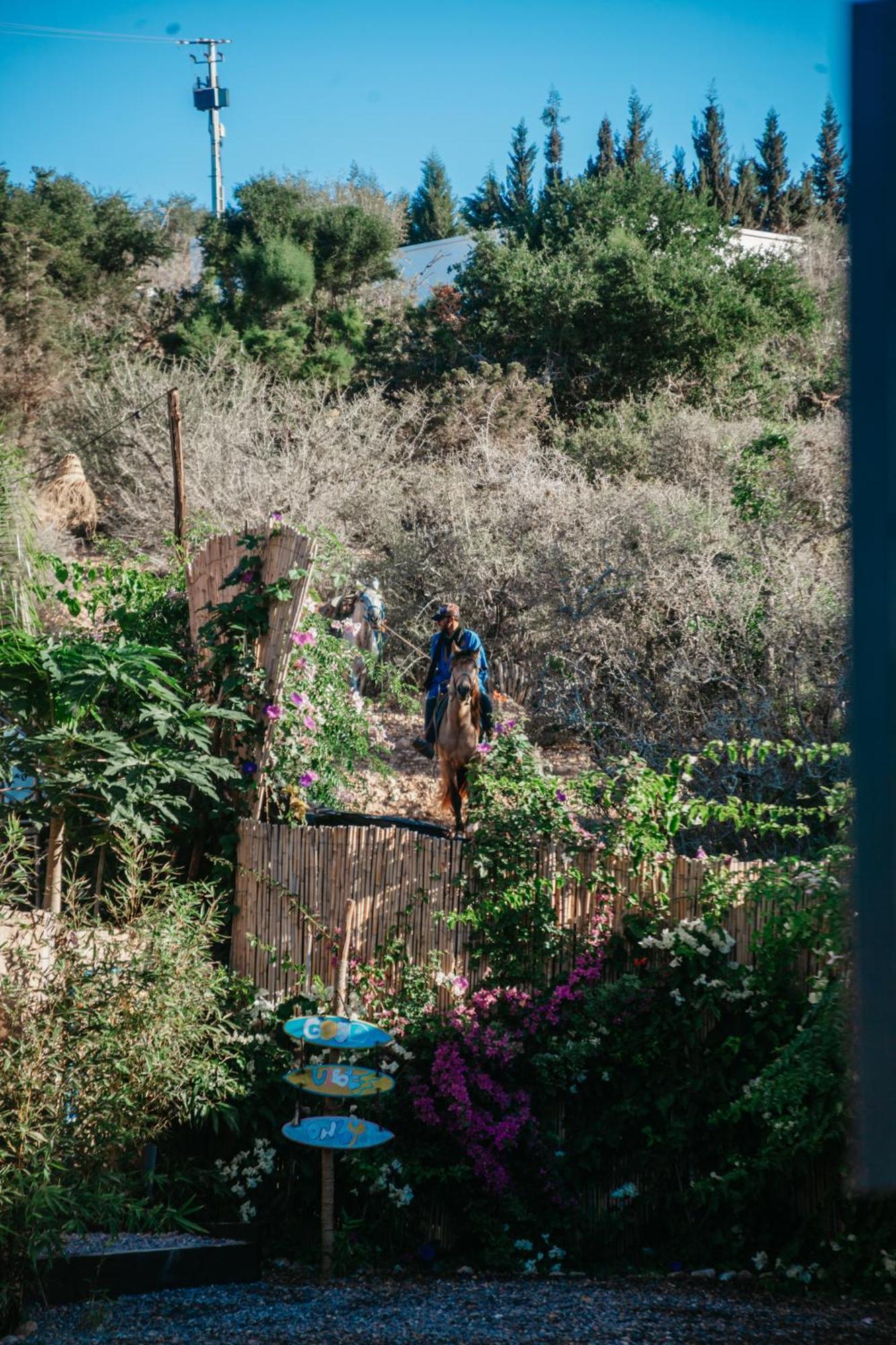 Harmony Surf Lodge Taghazout Kültér fotó